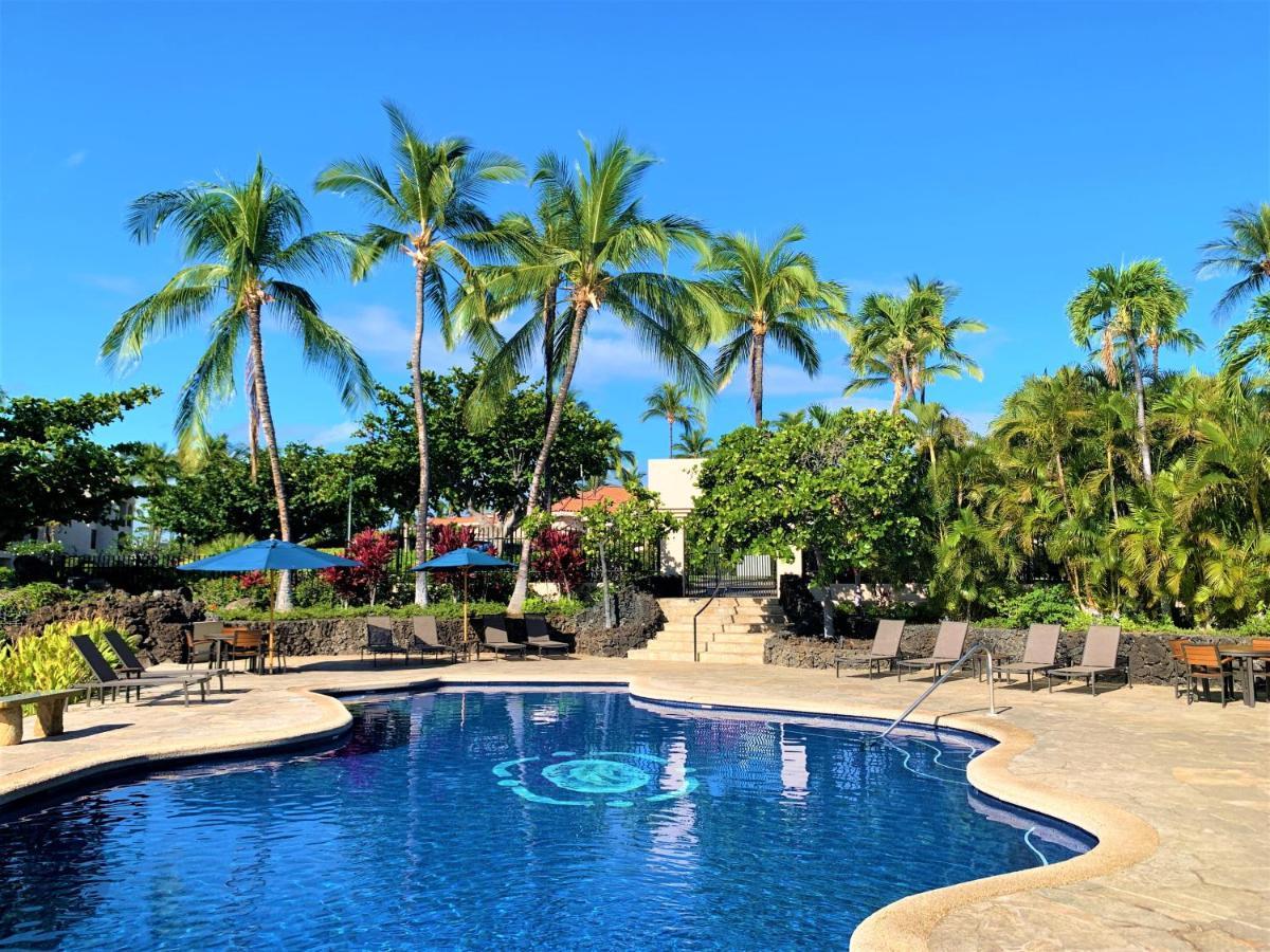 Coconut At Shores - *