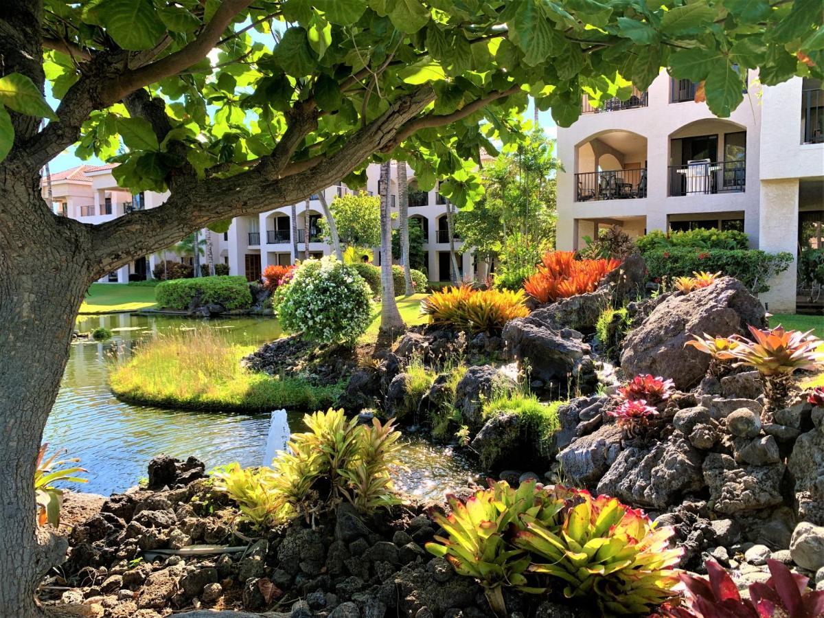 Coconut At Shores - *