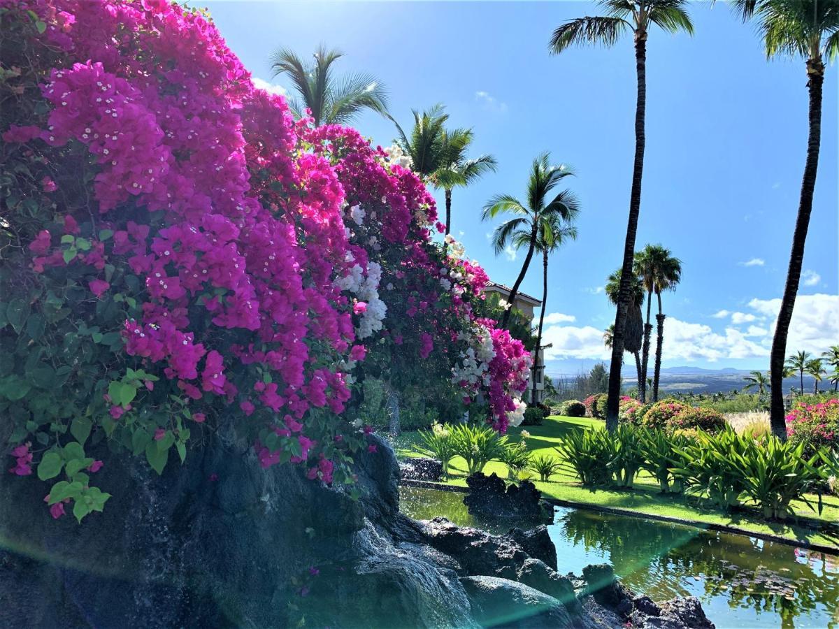 Coconut At Shores - Apartment Waikoloa